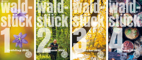 Waldstück Frühling Sommer Herbst Winter 2016